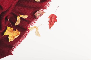 Red scarf on white background with autumn leaves. Autumn warm and cozy clothes. Copy space