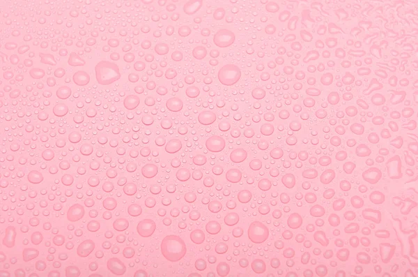 Drops of water on a pink background. Top view.