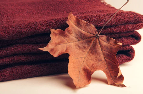 Montón apilado de punto borgoña a cuadros sobre fondo blanco con una hoja de otoño de arce. Interior cálido y acogedor . — Foto de Stock