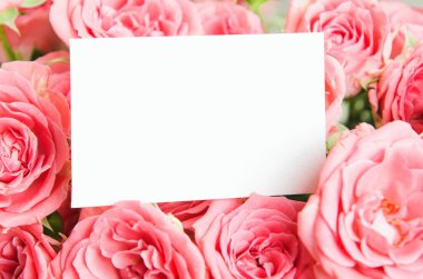 Tebrik kartı, pembe gül buketindeki yazıtlar. Yapılandır, metin için bir yer, boşluğu kopyala