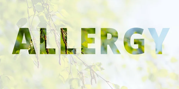 Tavaszi Háttér Felirat Allergia Háttérben Egy Virágzó Nyírfa Többszörös Expozíció — Stock Fotó