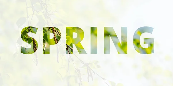 Frühlingshintergrund Banner Die Inschrift Spring Auf Dem Hintergrund Einer Blühenden — Stockfoto