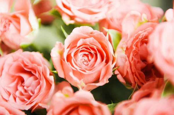 Rosa Små Rosor Bukett Blommig Bakgrund — Stockfoto
