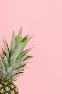 Pembe arka planda yeşil yapraklı olgun ananas. Yaz ferahlatıcı tropikal sağlıklı beslenme meyveleri. Boşluğu kopyala, üst görünüm, düz, uzanma, en düşük bileşim