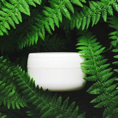 Orman otlarının arka planında beyaz bir yüz kremi kavanozu, eğreltiotu. Koyu ışık, üst manzara, düz yatış. Doğal kozmetik ürünleri kavramı