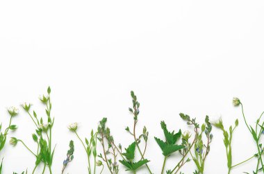 Otlar, beyaz arka planda çiçekler. Doğal çiçek geçmişi var. Çerçeve, kopyalama alanı, üst görünüm, düz alan