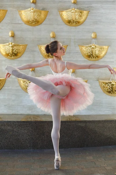 Çeşme karşı performans balerin — Stok fotoğraf