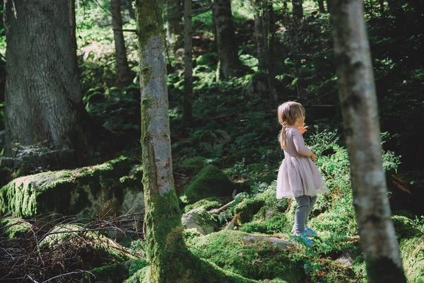 Маленькая девочка в лесу — стоковое фото