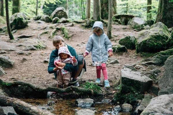 Мать с дочерьми у ручья в лесу — стоковое фото