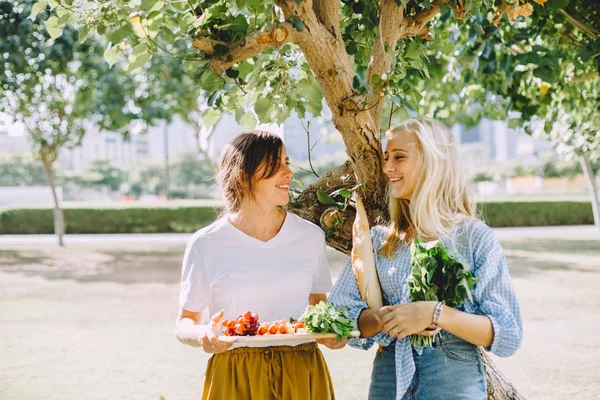 Mujeres Felices Jóvenes Con Comida Saludable Para Picnic Verano Aire — Foto de Stock