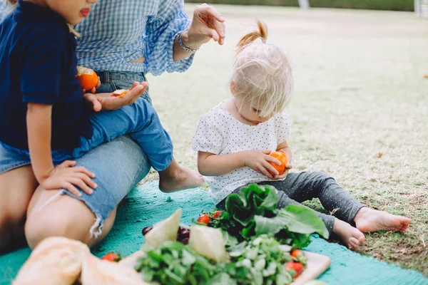 Young woman and cute little kids relaxing at summer picnic with healthy food — Stock Image Young Woman Cute Little Kids Relaxing Summer Picnic Healthy Food Stock Image