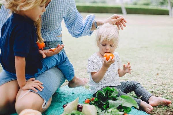 Young woman and cute little kids relaxing at summer picnic with healthy food — Stock Image Young Woman Cute Little Kids Relaxing Summer Picnic Healthy Food Stock Photo