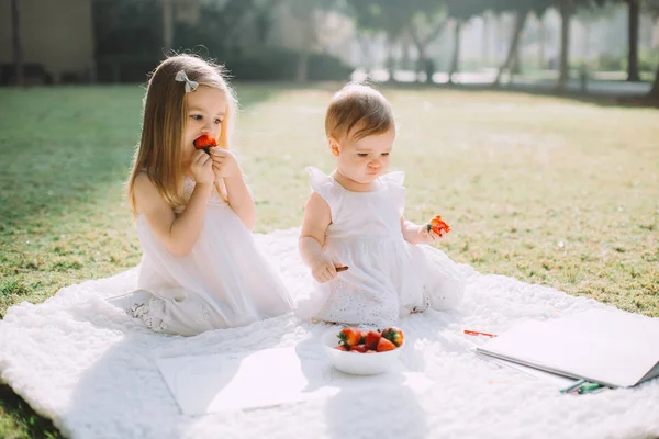 Two Cute Little Sisters Eating Strawberries Summer Picnic Park — Stock Photo, Image