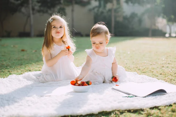 Two Cute Little Sisters Eating Strawberries Summer Picnic Park — Stock Photo, Image