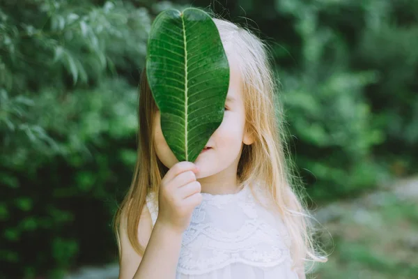 Маленька Дівчинка Тримає Зелене Листя Покриття Обличчя Крупним Планом — стокове фото