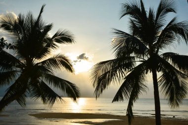 Sunset on the paradise beach in the remote and deserted corner of Samui island. 