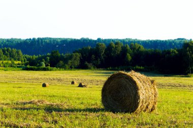 Yaz kırsal manzara biçilmiş ot ve saman ile rulo