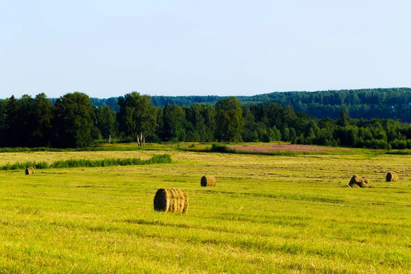 Pemandangan pedesaan musim panas dengan rumput yang dipangkas dan gulungan jerami — Stok Foto
