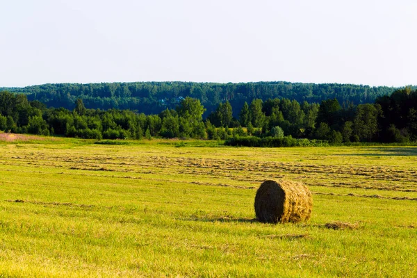 Pemandangan pedesaan musim panas dengan rumput yang dipangkas dan gulungan jerami — Stok Foto