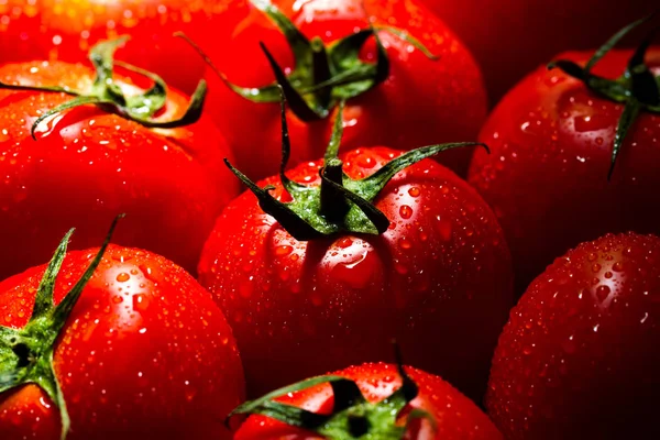 Rote Tomaten Wassertropfen Natürliches Licht Makro Draufsicht — Stockfoto