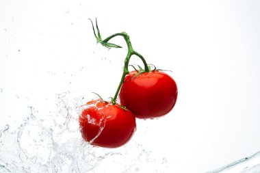 Damla ile dal beyaz bir backgrou su kırmızı domates