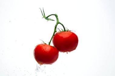 Damla ile dal beyaz bir backgrou su kırmızı domates