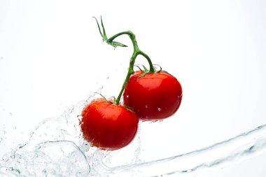 Damla ile dal beyaz bir backgrou su kırmızı domates