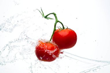 Damla ile dal beyaz bir backgrou su kırmızı domates