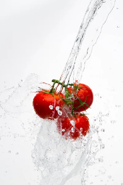 Rode tomaten op een tak met druppels van het water op een witte CHTERGRO — Stockfoto