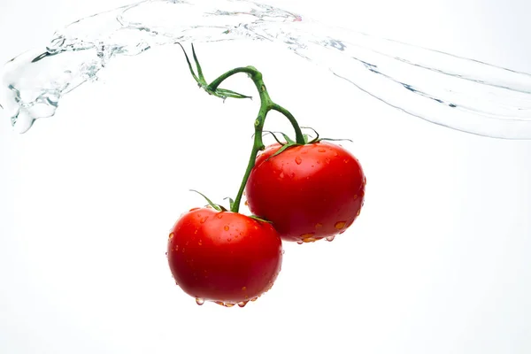 Red tomatoes on a branch with drops of water on a white backgrou — Stock Photo, Image