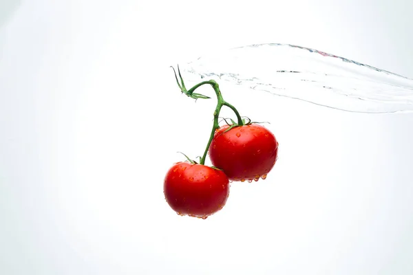 Red tomatoes on a branch with drops of water on a white backgrou — Stock Photo, Image