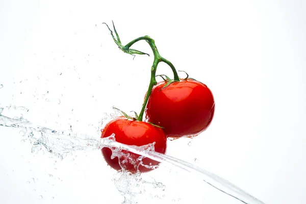 Tomates rojos en una rama con gotas de agua sobre un fondo blanco — Foto de Stock