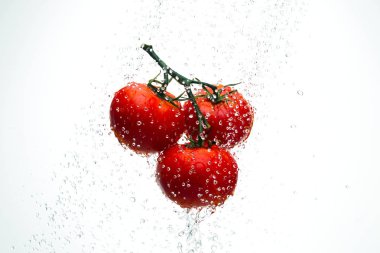 Damla ile dal beyaz bir backgrou su kırmızı domates