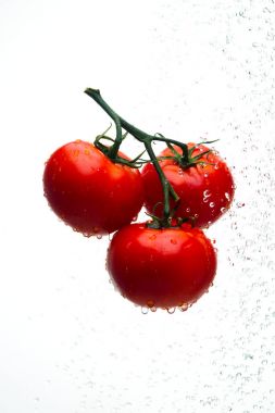 Damla ile dal beyaz bir backgrou su kırmızı domates