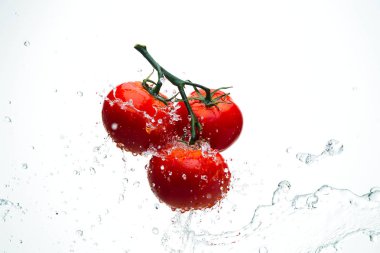 Damla ile dal beyaz bir backgrou su kırmızı domates