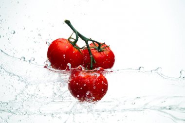 Domates yeşil dal akarsu su, beyaz arka plan, stüdyo ışık kırmızı