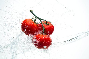 Damla ile dal beyaz bir backgrou su kırmızı domates