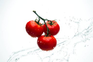 Damla ile dal beyaz bir backgrou su kırmızı domates