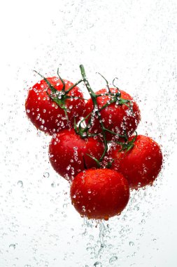 Domates yeşil dal akarsu su, beyaz arka plan, stüdyo ışık kırmızı