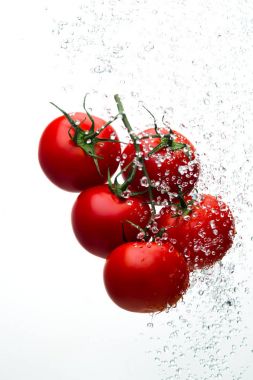 Damla ile dal beyaz bir backgrou su kırmızı domates