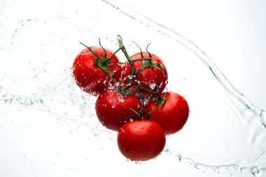 Domates yeşil dal akarsu su, beyaz arka plan, stüdyo ışık kırmızı