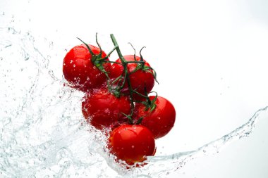 Damla ile dal beyaz bir backgrou su kırmızı domates