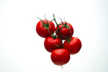 Damla ile dal beyaz bir backgrou su kırmızı domates