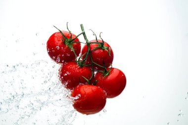 Damla ile dal beyaz bir backgrou su kırmızı domates