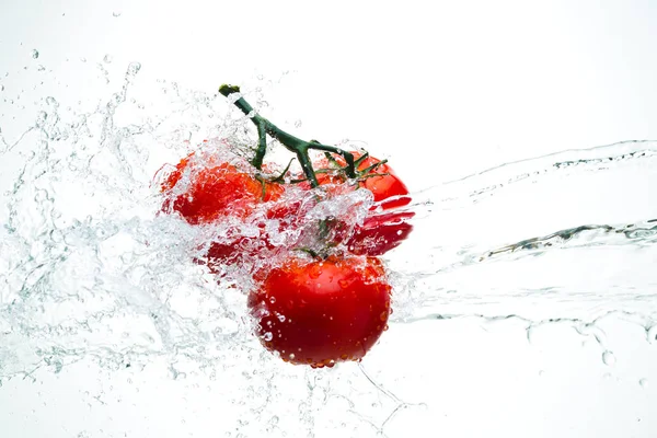 Damla ile dal beyaz bir backgrou su kırmızı domates