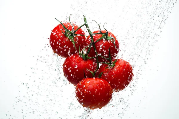 Domates yeşil dal akarsu su, beyaz arka plan, stüdyo ışık kırmızı