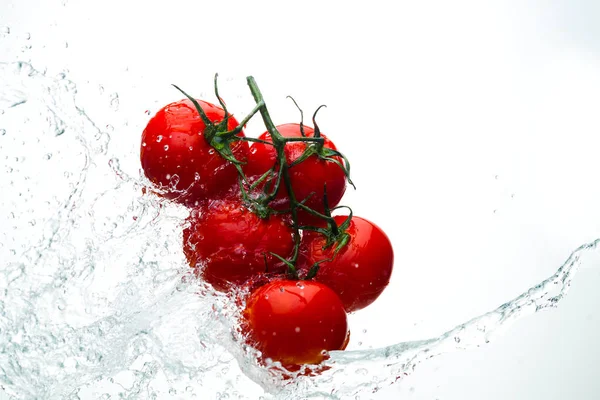 Damla ile dal beyaz bir backgrou su kırmızı domates