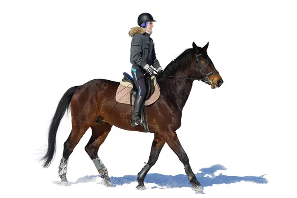 Passeios a cavalo. Uma mulher monta um cavalo. A treinar. Hipódromo. S — Fotografia de Stock
