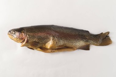 Beyaz arka planda soğuk dumanlı gökkuşağı alabalığı.