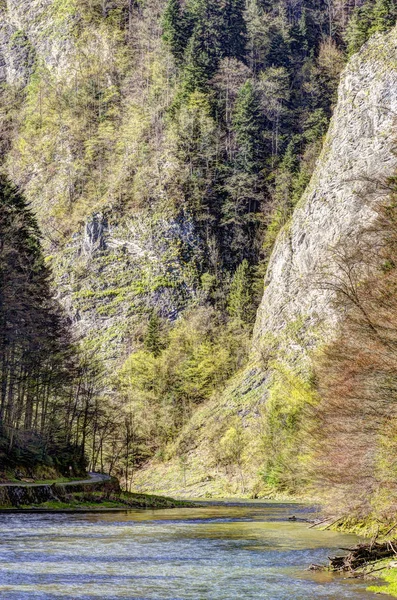 Garganta do rio Dunajec na primavera — Fotografia de Stock